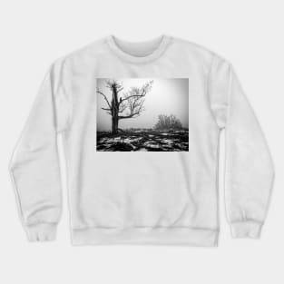 Lone Tree In Fog BnW Crewneck Sweatshirt